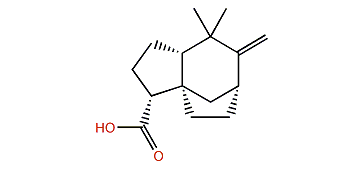 Prezizanoic acid